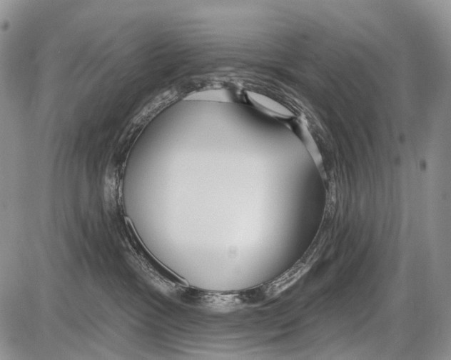 X0000086070333200704202132