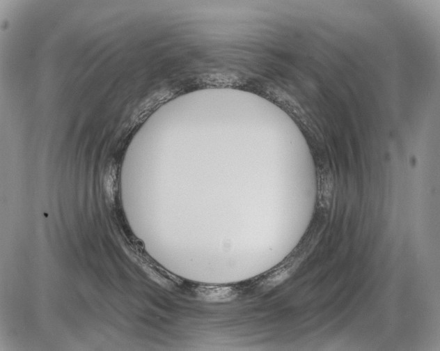 X0000086070334200704202132