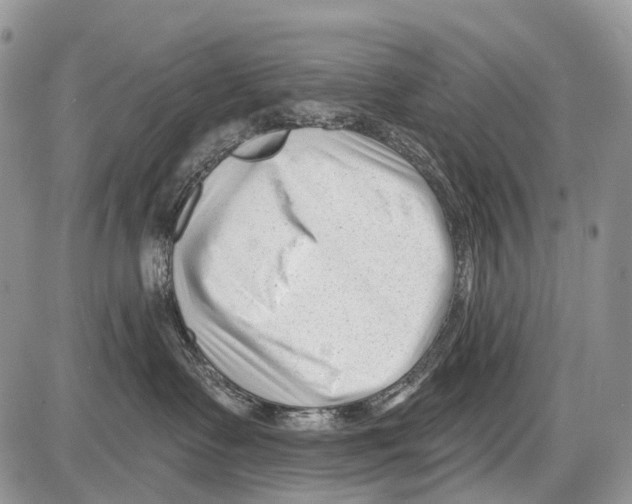 X0000086070335200704202132