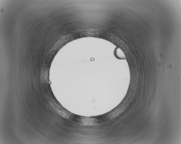 X0000086070336200704202132