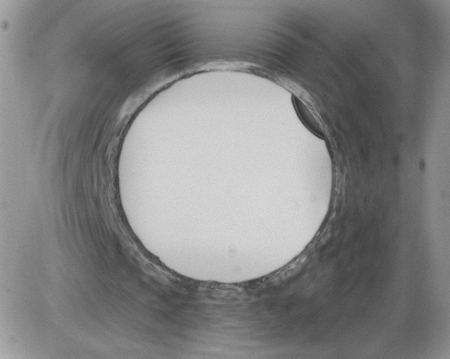 X0000086070337200704202132