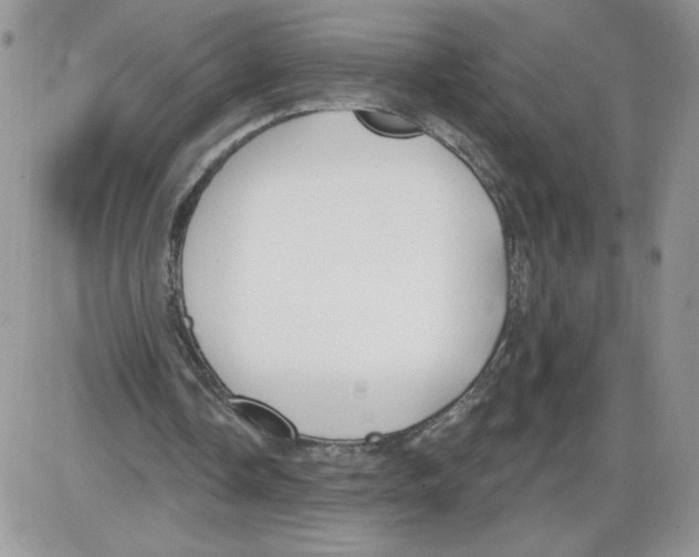 X0000086070338200704202132