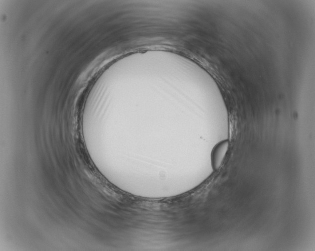 X0000086070339200704202132