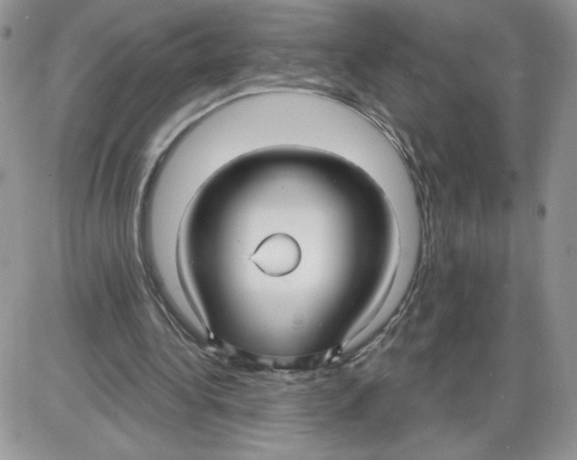 X0000086070340200704202132