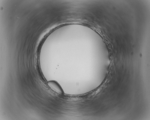 X0000086070342200704202132