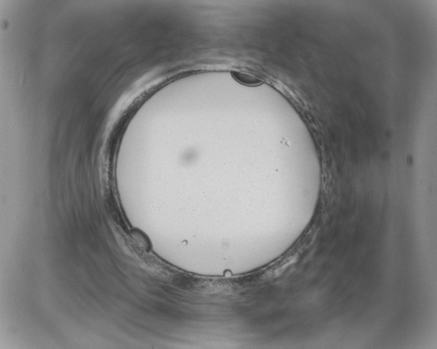 X0000086070343200704202132