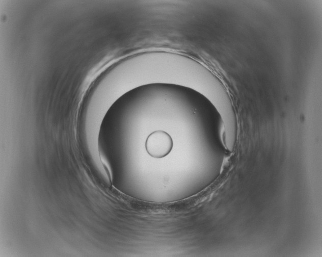 X0000086070344200704202132