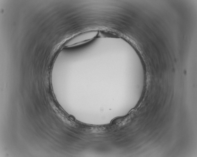 X0000086070345200704202132