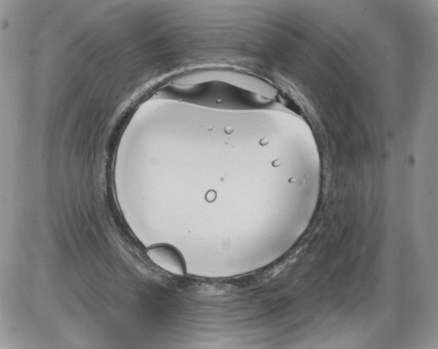 X0000086070346200704202132