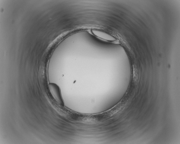 X0000086070348200704202132