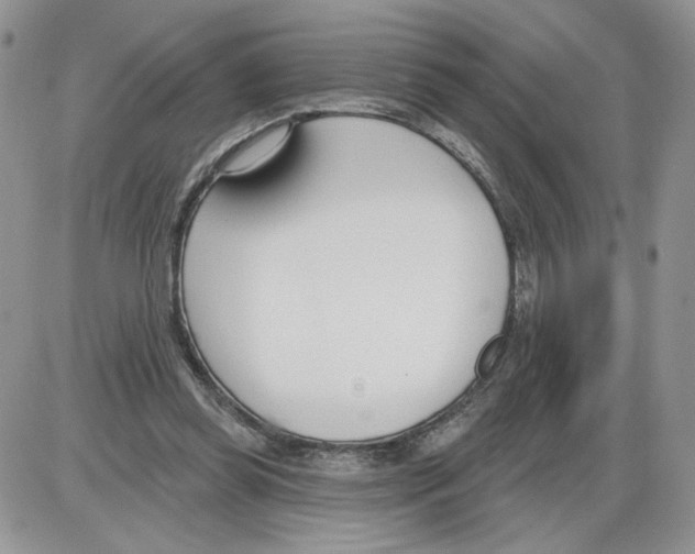 X0000086070349200704202132