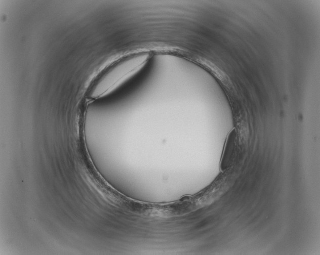 X0000086070350200704202132