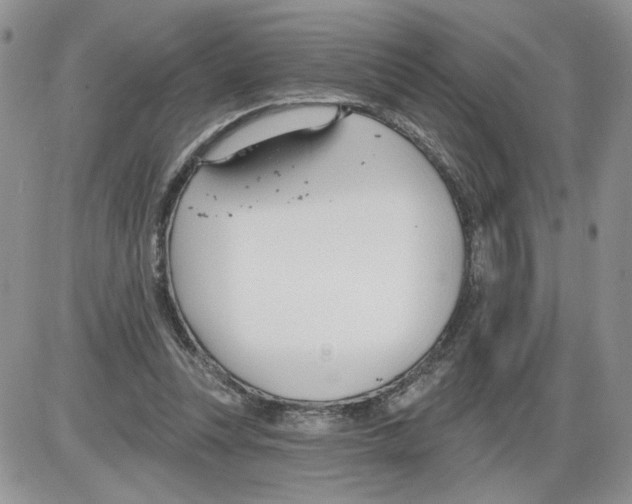 X0000086070351200704202132