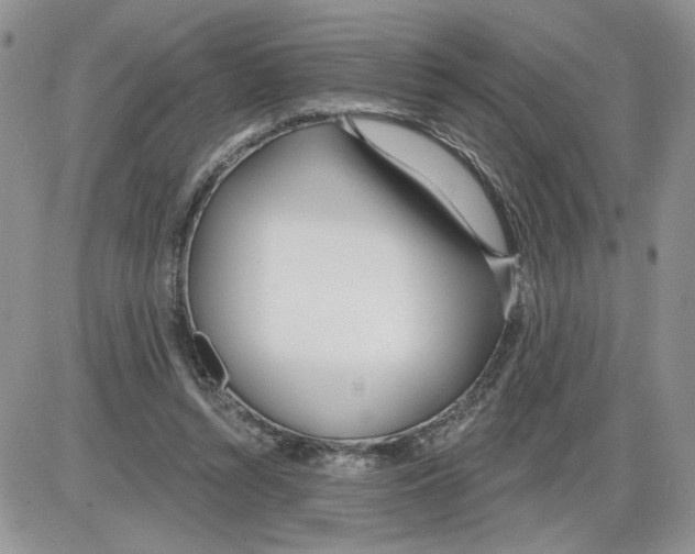 X0000086070352200704202132