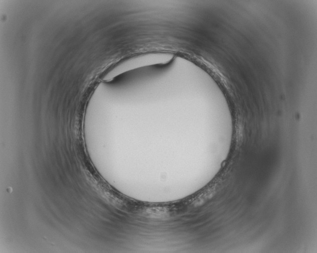 X0000086070353200704202132