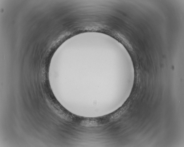 X0000086070354200704202132