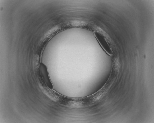 X0000086070356200704202132