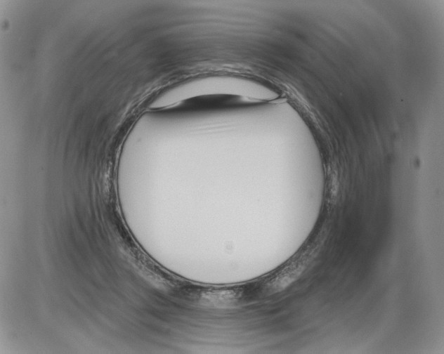 X0000086070357200704202132