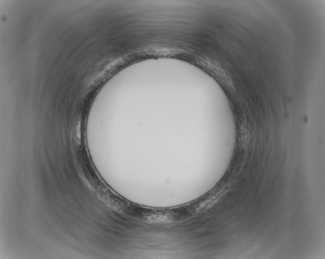 X0000086070358200704202132