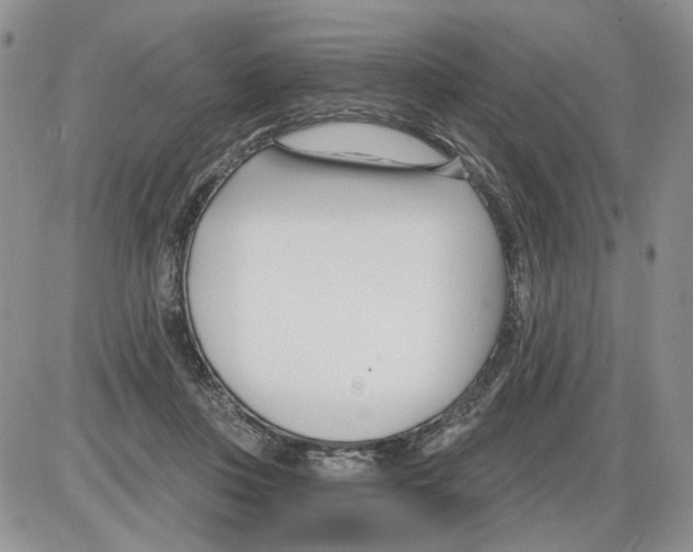 X0000086070359200704202132