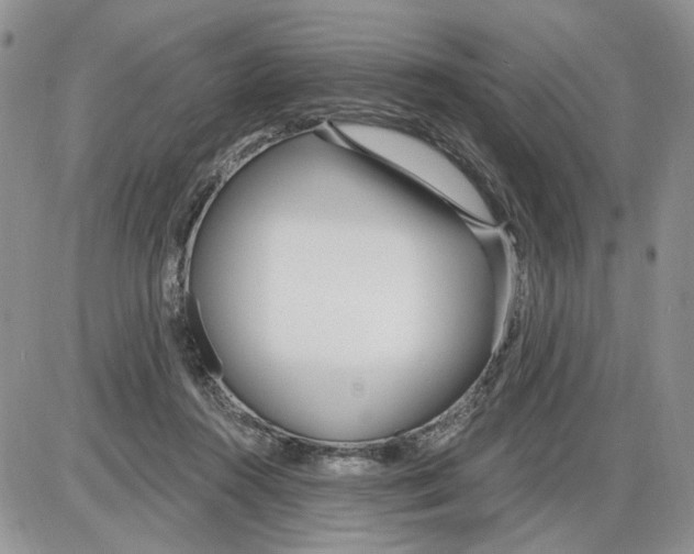 X0000086070360200704202132