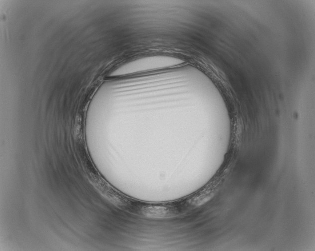 X0000086070361200704202132