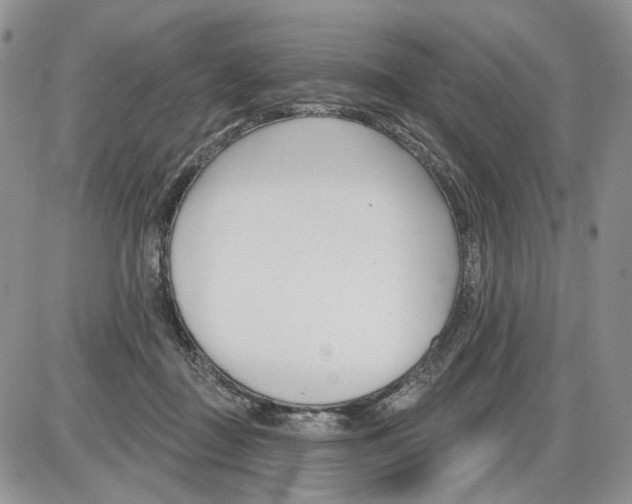 X0000086070363200704202132