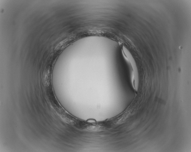 X0000086070364200704202132