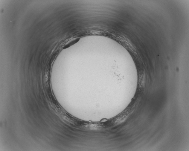 X0000086070365200704202132