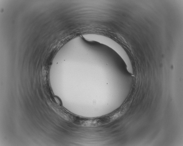 X0000086070366200704202132