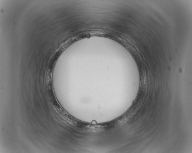 X0000086070367200704202132