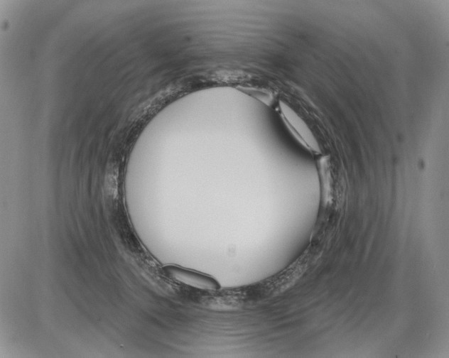 X0000086070368200704202132