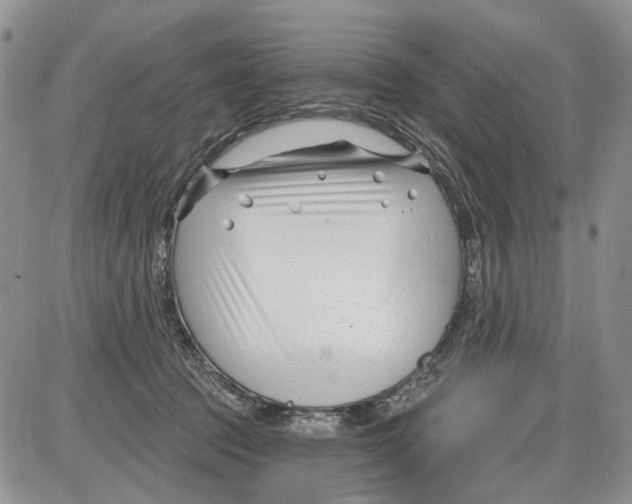 X0000086070369200704202132