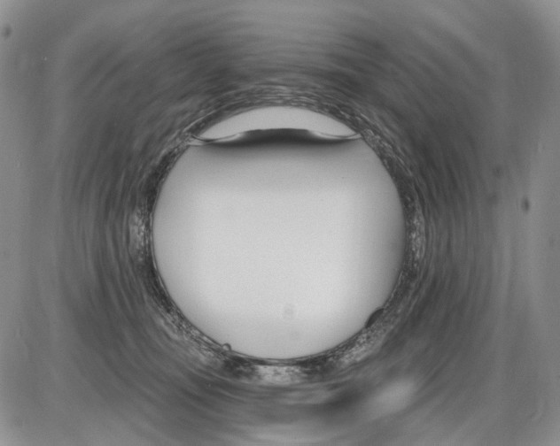 X0000086070371200704202132