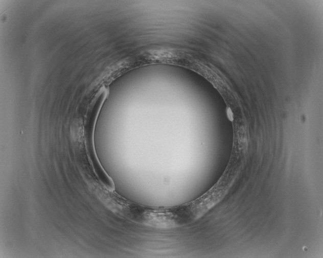 X0000086070372200704202132