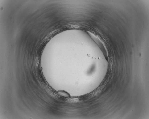 X0000086070374200704202132