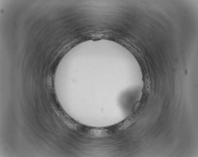 X0000086070375200704202132