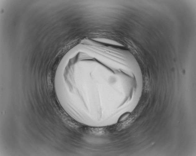 X0000086070377200704202132