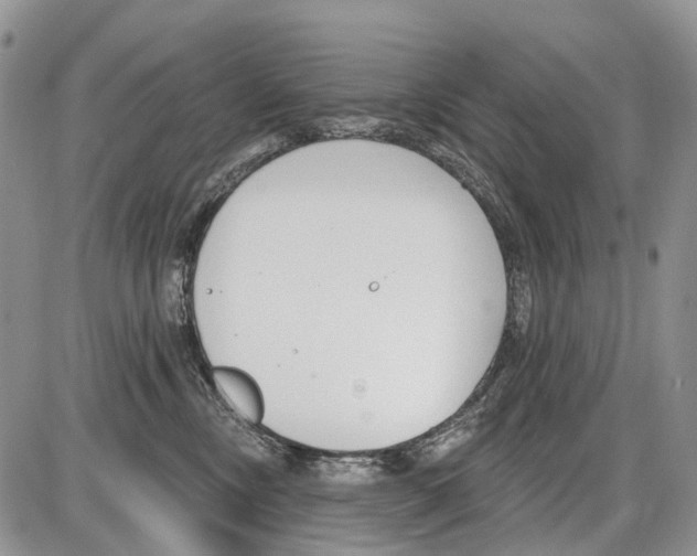 X0000086070378200704202132