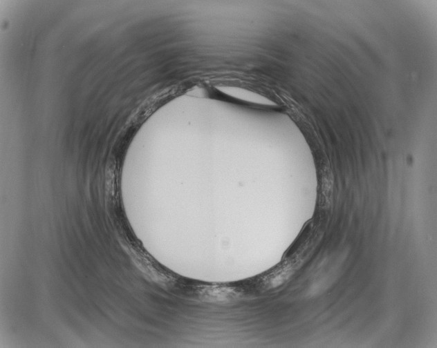 X0000086070379200704202132