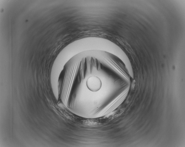 X0000086070380200704202132