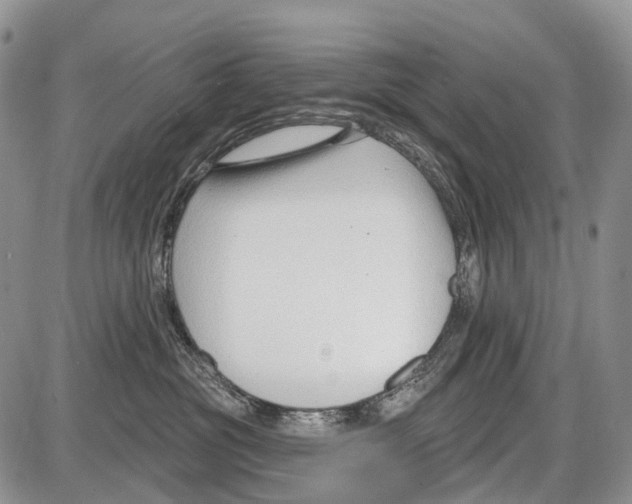 X0000086070381200704202132