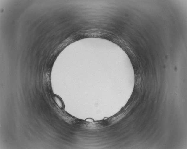 X0000086070382200704202132