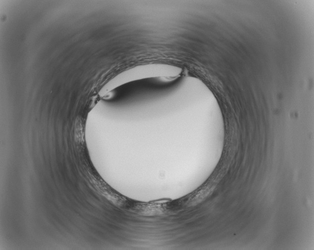 X0000086070384200704202132