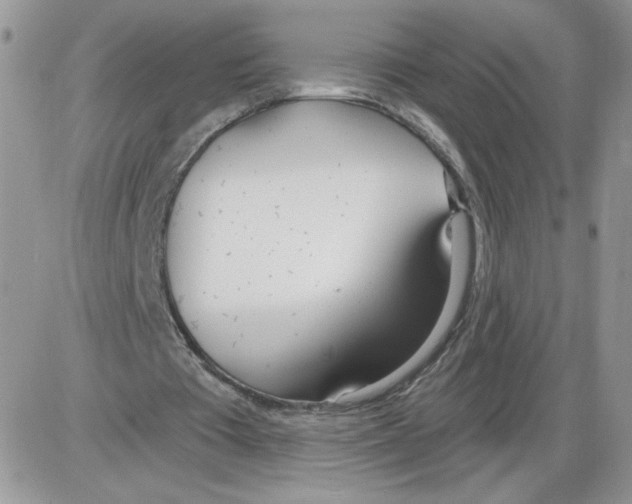 X0000086070385200704202131