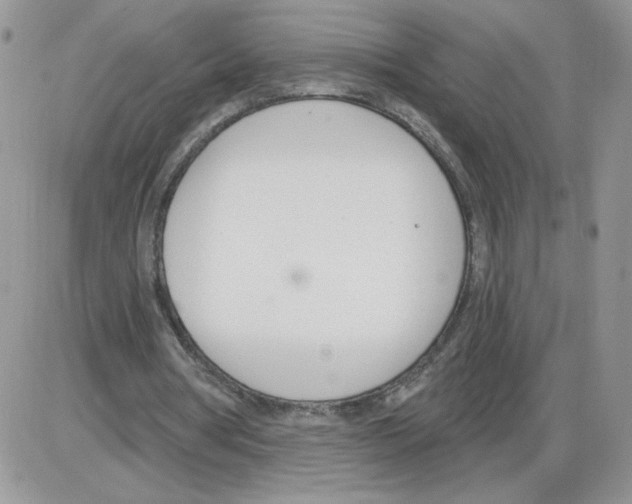 X0000086070386200704202131