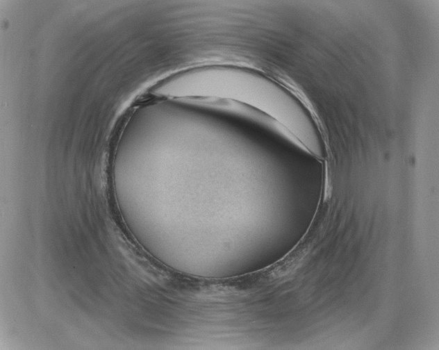 X0000086070387200704202131