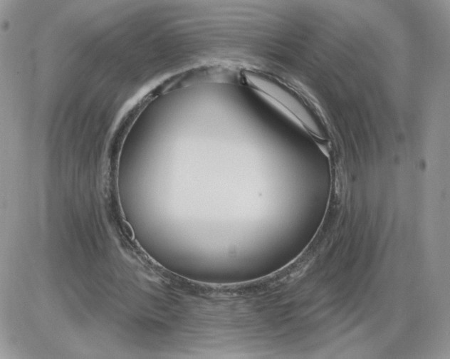 X0000086070388200704202131