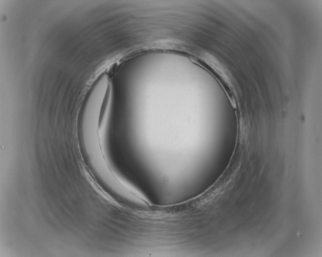 X0000086070389200704202131