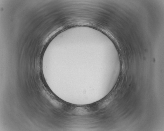 X0000086070390200704202131